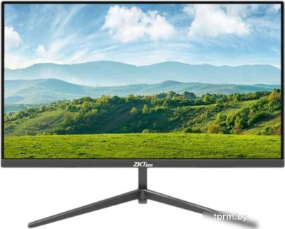 Монитор ZKTeco ZD24-2K-A 