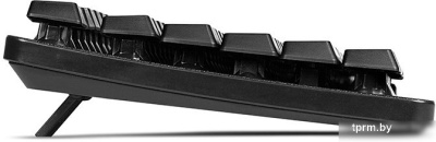 Клавиатура SVEN Standard 301 Black 