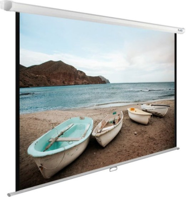 Проекционный экран CACTUS WallExpert 220x138 CS-PSWE-220x138-WT 
