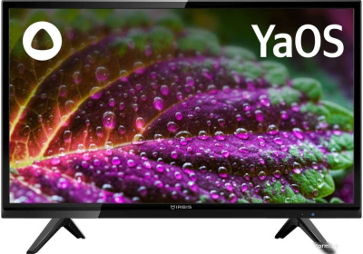 Телевизор IRBIS 24H1YDX101BS2 
