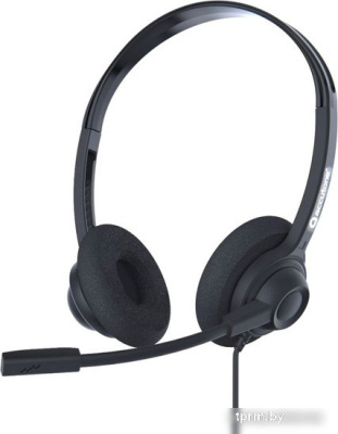 Офисная гарнитура Accutone DB220 2.5 