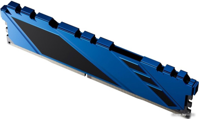 Оперативная память Netac Shadow 16ГБ DDR4 2666 МГц NTSDD4P26SP-16B 