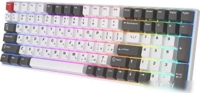 Клавиатура Royal Kludge RK100 RGB (белый/серый, RK Red) 