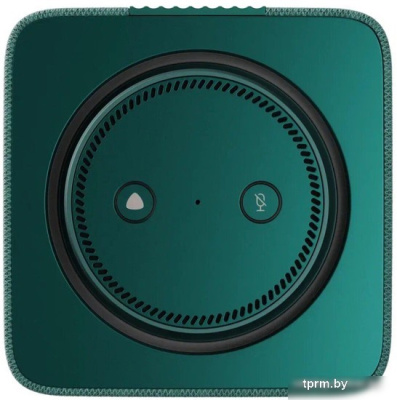 Умная колонка Яндекс Станция Макс (с хабом умного дома Zigbee, зеленый) 