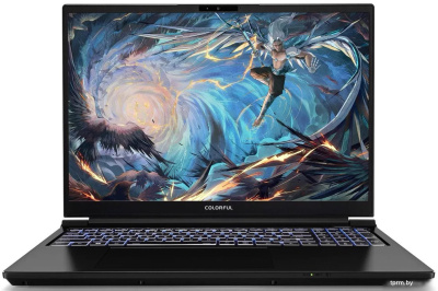 Colorful Evol X16 Pro 23 A10205400059 