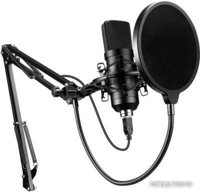 Микрофон Oklick SM-700G 
