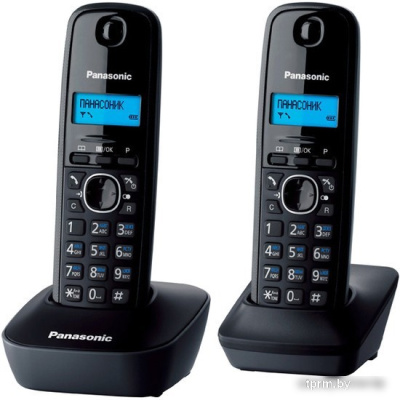 Радиотелефон Panasonic KX-TG1612RUH 