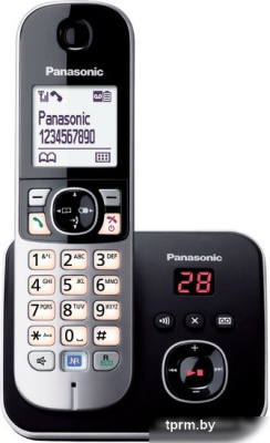 Радиотелефон Panasonic KX-TG6821 