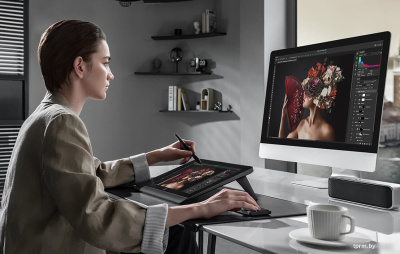 Графический монитор XP-Pen Artist Pro 14 (2-ое поколение, с кабелем AD41) 