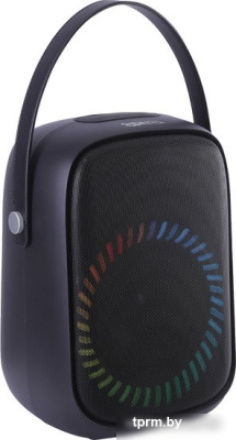 Беспроводная колонка Aiwa PAS-Y600 