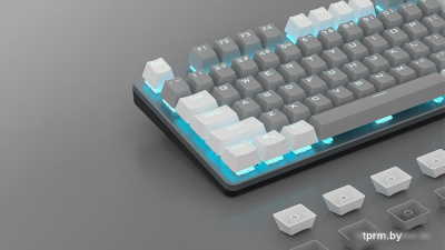 Клавиатура AULA F3287 