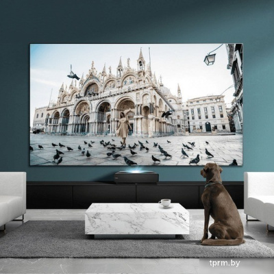 Проектор Hisense 100L5F-D12 