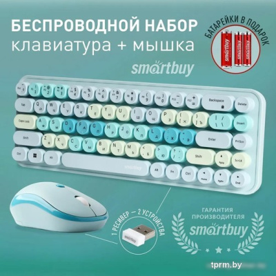 SmartBuy SBC-676390AG-T 