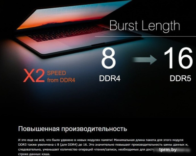 Оперативная память Silicon-Power 16ГБ DDR5 5200 МГц SP016GBLVU520F02 