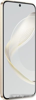Смартфон Huawei nova 11 FOA-LX9 8GB/256GB (золотистый) 