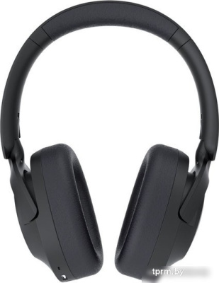 Наушники Creative Zen Hybrid 2 (черный) 