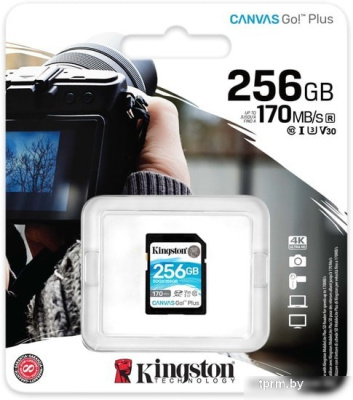 Kingston Canvas Go! Plus SDXC 256GB 
