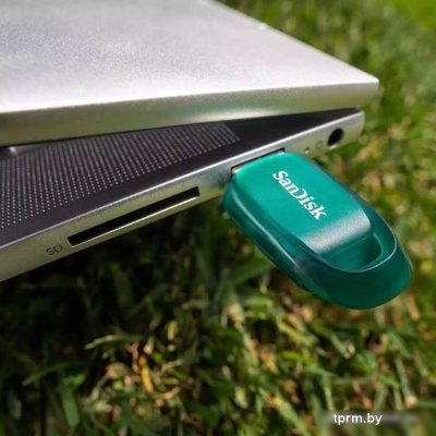 USB Flash SanDisk Ultra Eco USB 3.2 256GB 