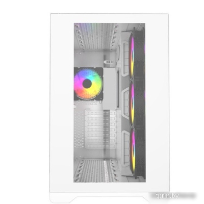 Powercase Vision CVWA-L4 