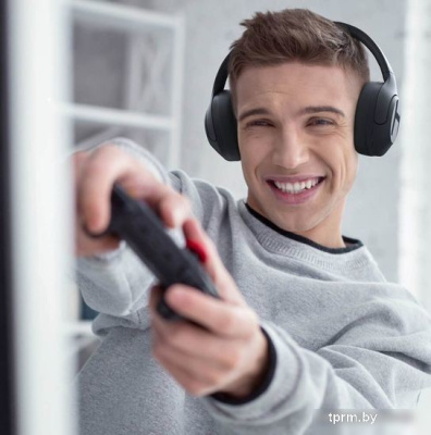 Наушники Haylou S35 ANC (черный) 
