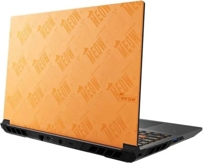 Игровой ноутбук Colorful Evol MEOW R15 A10305000027 