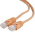 Кабель Cablexpert PP12-0.25M/O 