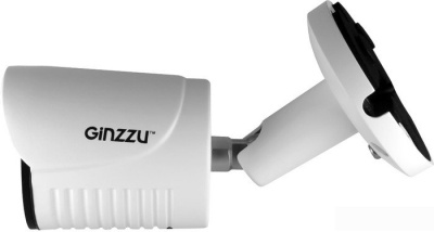 IP-камера Ginzzu HIB-2031S 