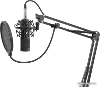 Genesis Radium 300 XLR 