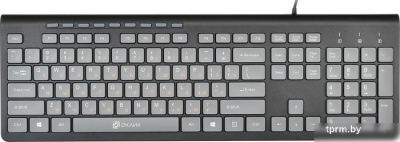 Клавиатура Oklick 480M (черный/серый) 