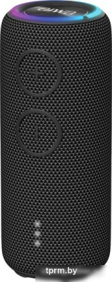Беспроводная колонка Aiwa PAS-H200 (черный) 