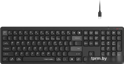 Клавиатура A4Tech Fstyler FBX55C (черный) 