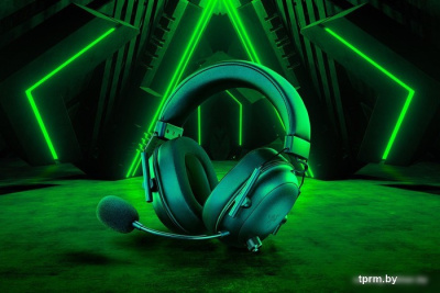 Razer Blackshark V2 Hyperspeed (черный) 