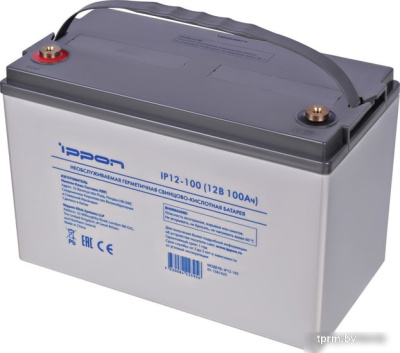 Аккумулятор для ИБП IPPON IP12-100 (12В/100 А·ч) 