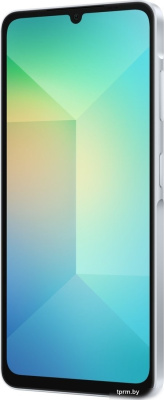 Смартфон Samsung Galaxy A06 SM-A065F 4GB/64GB (голубой) 