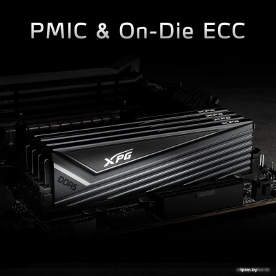 ADATA XPG Caster 2x32ГБ DDR5 6000 МГц AX5U6000C3032G-DCCAGY 