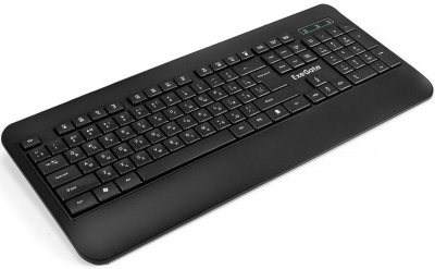 ExeGate Professional Standard LY-E5500M Color box 