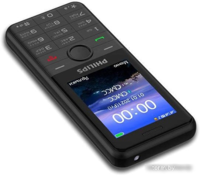 Смартфон Philips Xenium E172 (черный) 
