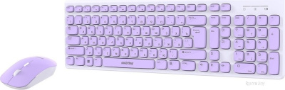 SmartBuy One SBC-250288AG-WV 