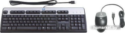 HP USB Keyboard and Optical Mouse Kit Russian (638214-B21) 