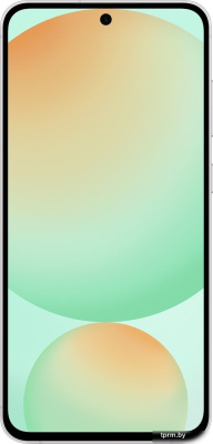 Смартфон Samsung Galaxy S24 FE SM-S721B 8GB/256GB (мятный) 
