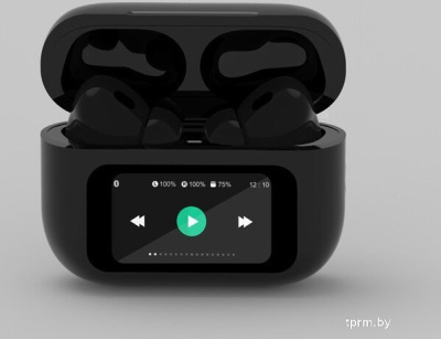 Наушники GMB Audio TWS-LCD-ANC-01-BK 