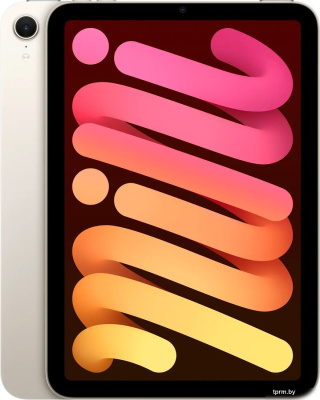 Apple iPad mini 2024 256GB (звездный свет) 