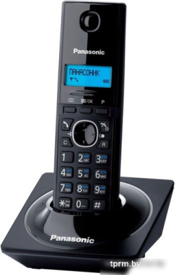 Радиотелефон Panasonic KX-TG1711RUB 