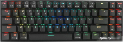 Клавиатура Royal Kludge RK71 RGB (черный, RK Red) 