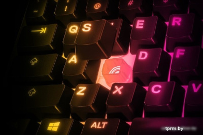 Клавиатура SteelSeries Apex 3 TKL 