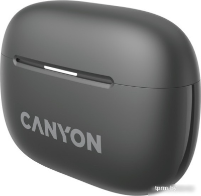 Наушники Canyon OnGo 10 ANC TWS-10 (черный) 