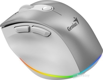 Мышь Genius Ergo 9000S Pro (серебристый) 