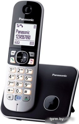 Радиотелефон Panasonic KX-TG6811UAB 