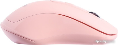 Мышь SmartBuy SBM-282AG-N 