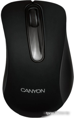 Мышь Canyon CNE-CMSW2 